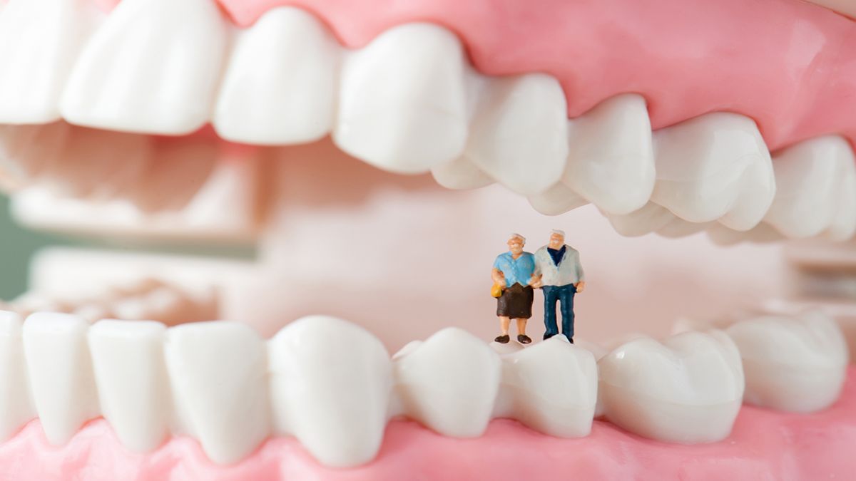 Pulpitis Priapical Optimal Root Canal Treatment Plan for Adult Pulpitis and Periapical ...